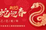 辭舊迎新，蛇舞華章丨深圳容金科技全體員工祝您新春快樂！